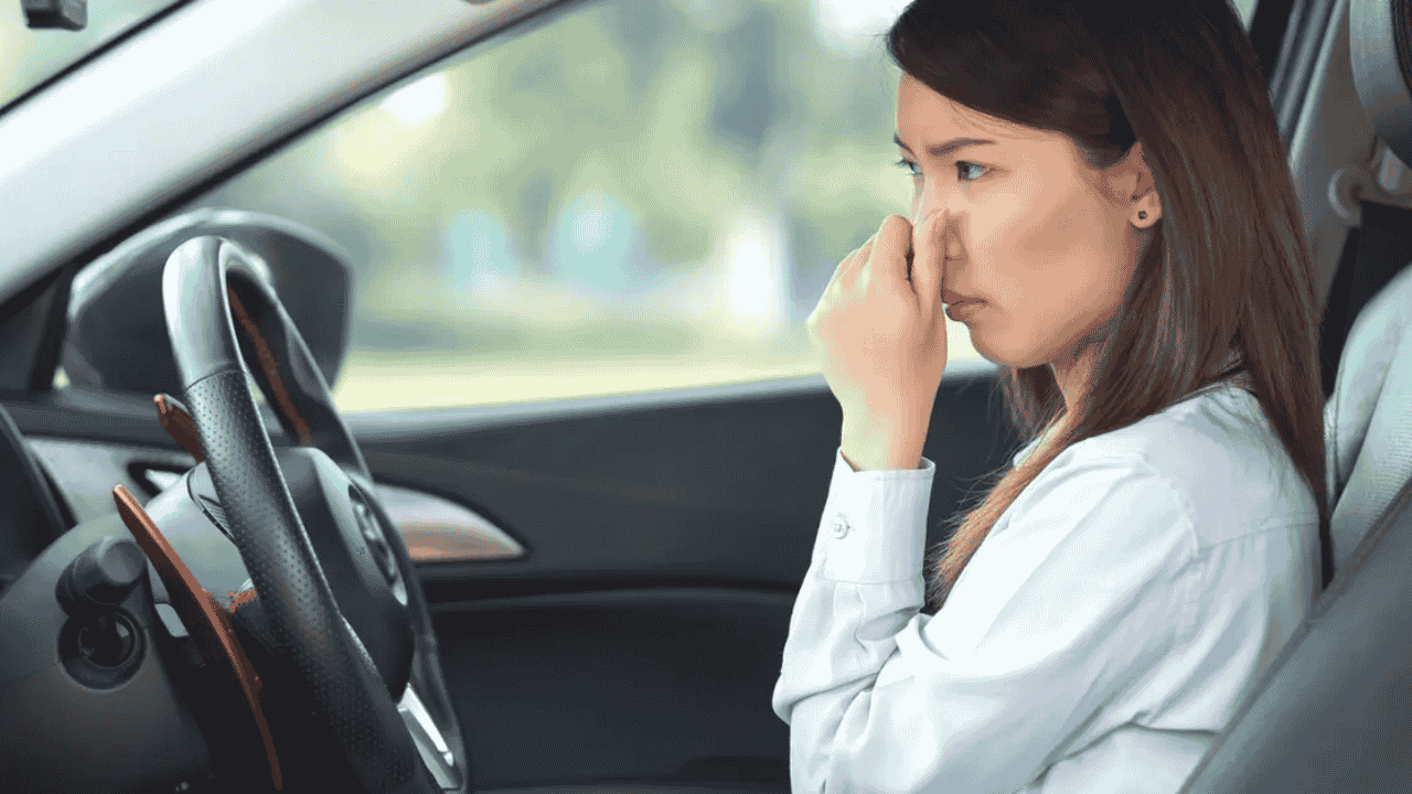 Car Smell Like Rotten Eggs