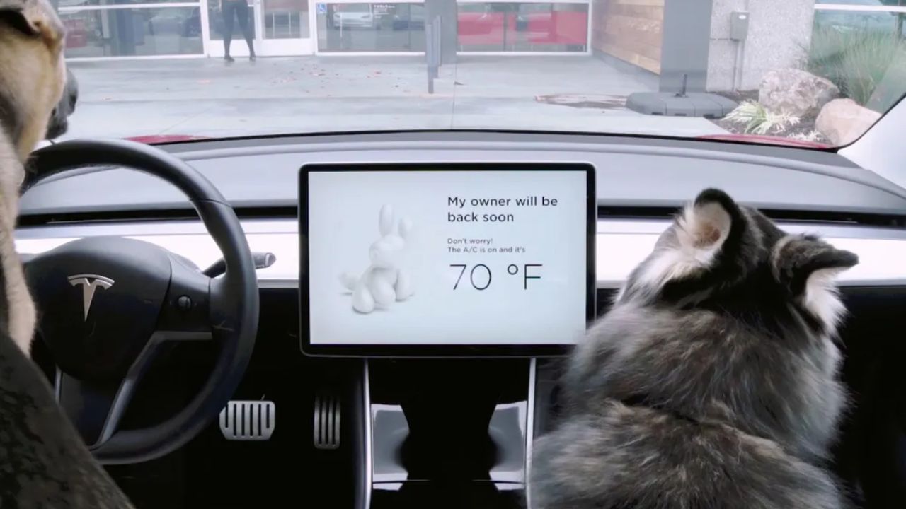 Tesla Dog Mode In Car